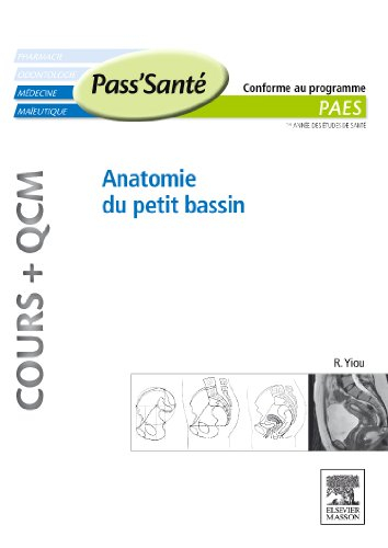 Anatomie du petit bassin