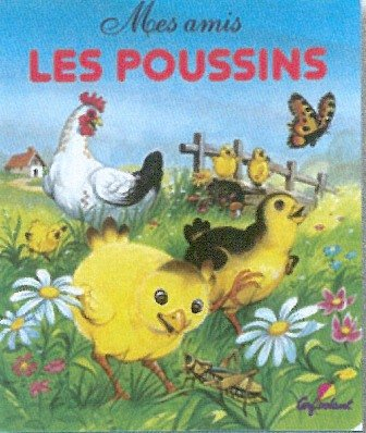 Mes amis les poussins