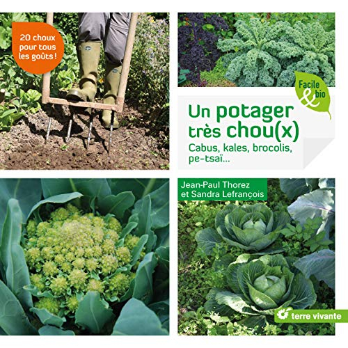 Un potager très chou(x) : cabus, kales, brocolis, pe-tsaï...