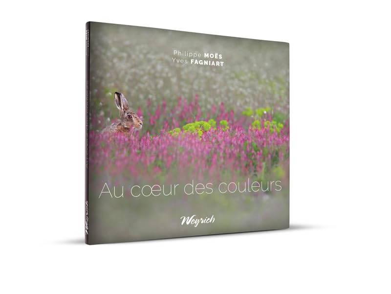 Au coeur des couleurs