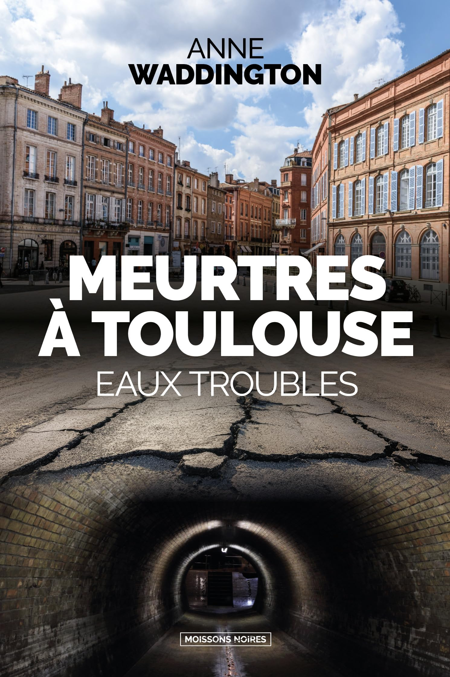 Meurtres à Toulouse : eaux troubles : thriller