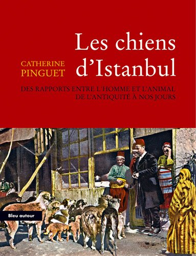 Les chiens d'Istanbul : des rapports entre l'homme et l'animal de l'Antiquité à nos jours