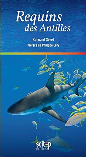 Requins des Antilles