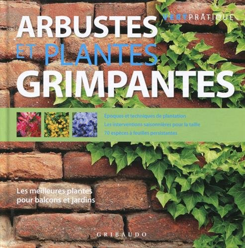 Arbustes et plantes grimpantes : les meilleures plantes pour balcons et jardins