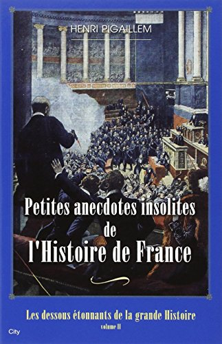Les dessous étonnants de la grande Histoire. Vol. 2. Petites anecdotes insolites de l'histoire de Fr