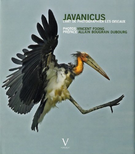 Javanicus : l'art de photographier les oiseaux
