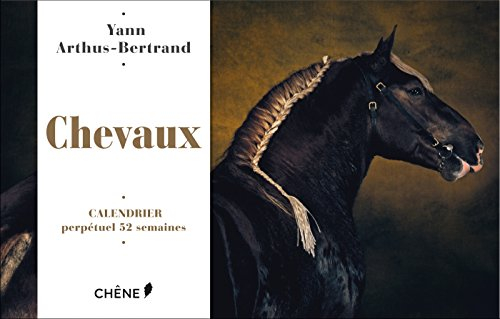 Chevaux : calendrier perpétuel 52 semaines
