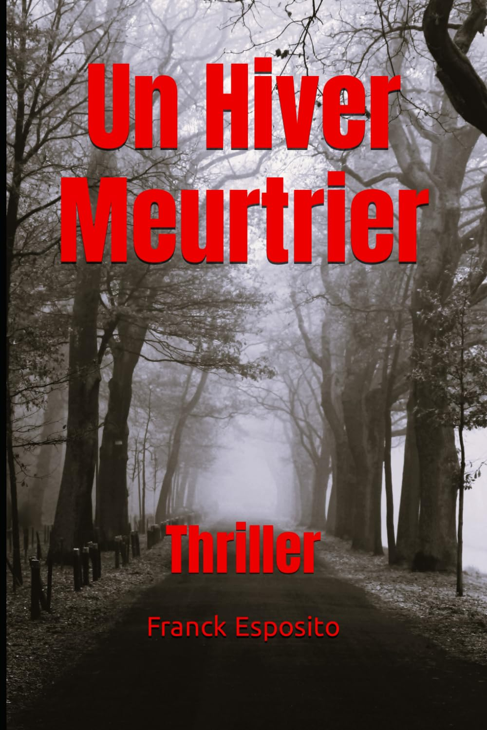 Un Hiver Meurtrier: Thriller