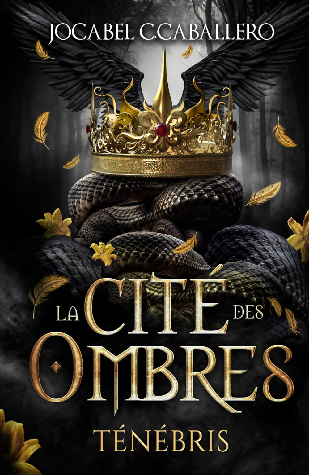 Ténébris - 1. La Cité des Ombres