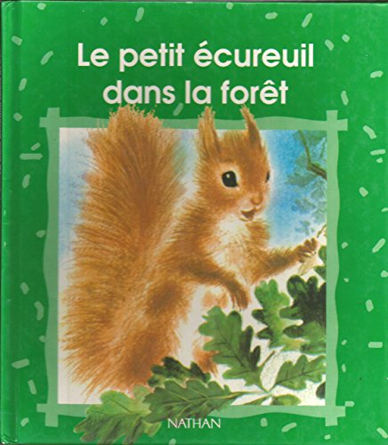 petit ecureuil dans foret