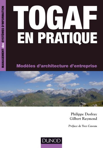 Togaf en pratique : modèles d'architecture d'entreprise