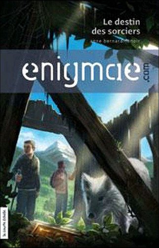 Enigmae.com. Vol. 2. Le destin des sorciers