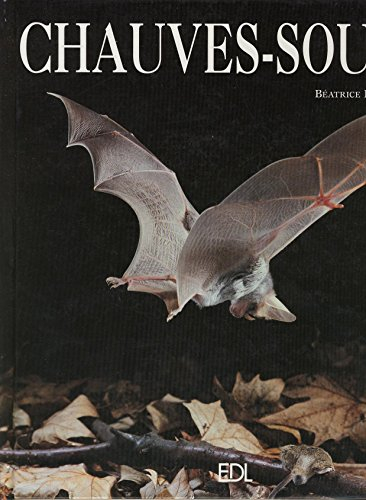 chauves-souris