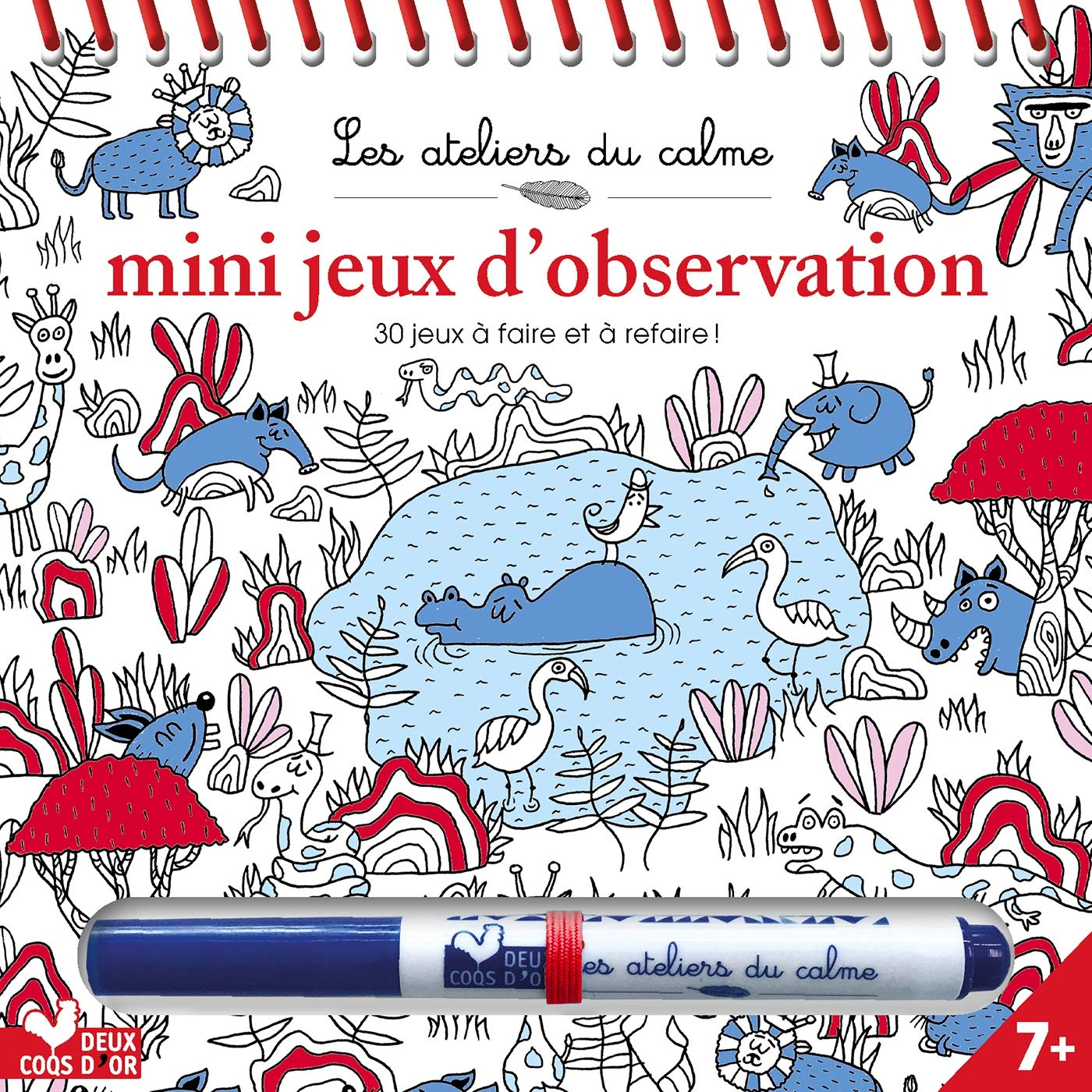 Mini jeux d'observation : 30 jeux à faire et à refaire !