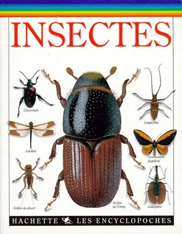Insectes
