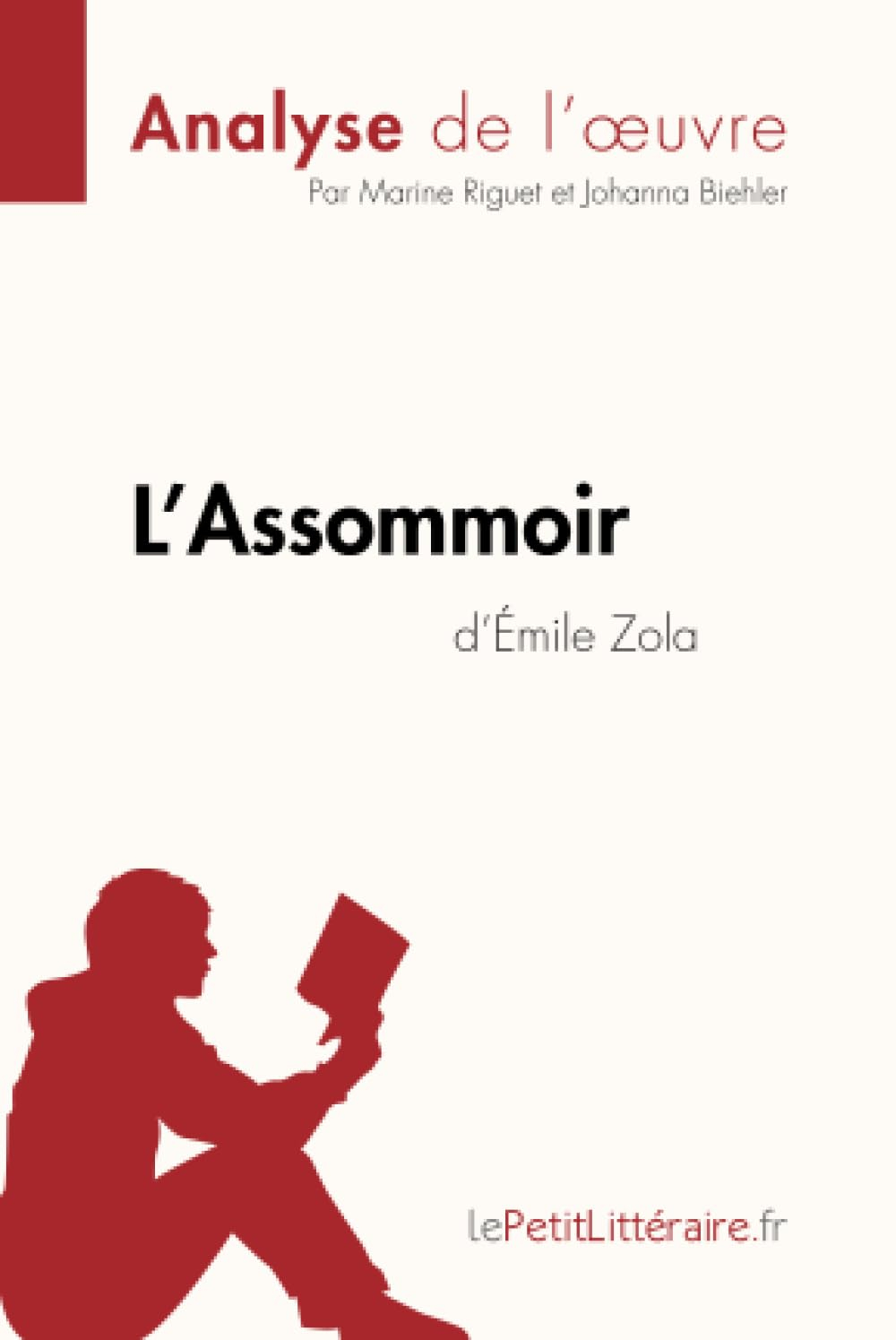 L'Assommoir d'Emile Zola (Analyse de l'oeuvre) : Analyse complète et résumé détaillé de l'oeuvre