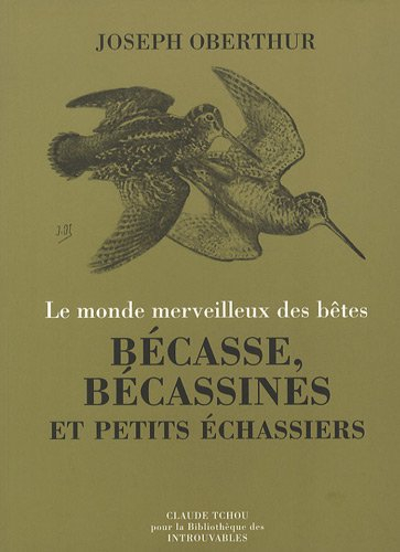 Bécasses, bécassines et petits échassiers