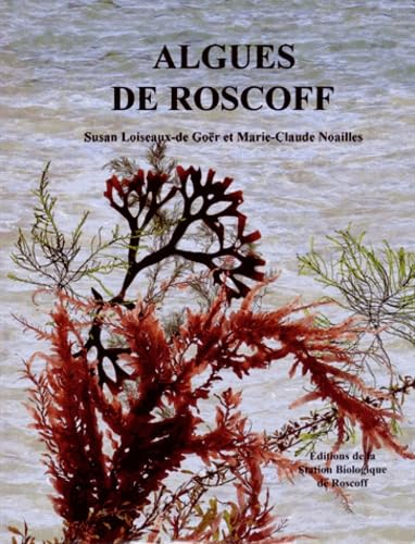 Algues de Roscoff