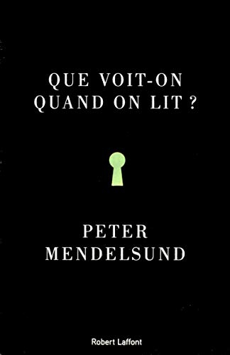 Que voit-on quand on lit ? : une phénoménologie avec illustrations
