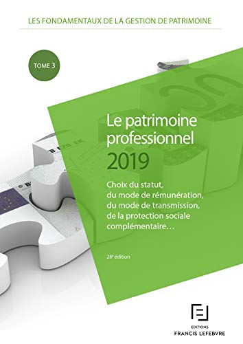 Les fondamentaux de la gestion de patrimoine. Vol. 2. Le patrimoine professionnel 2019 : choix du st