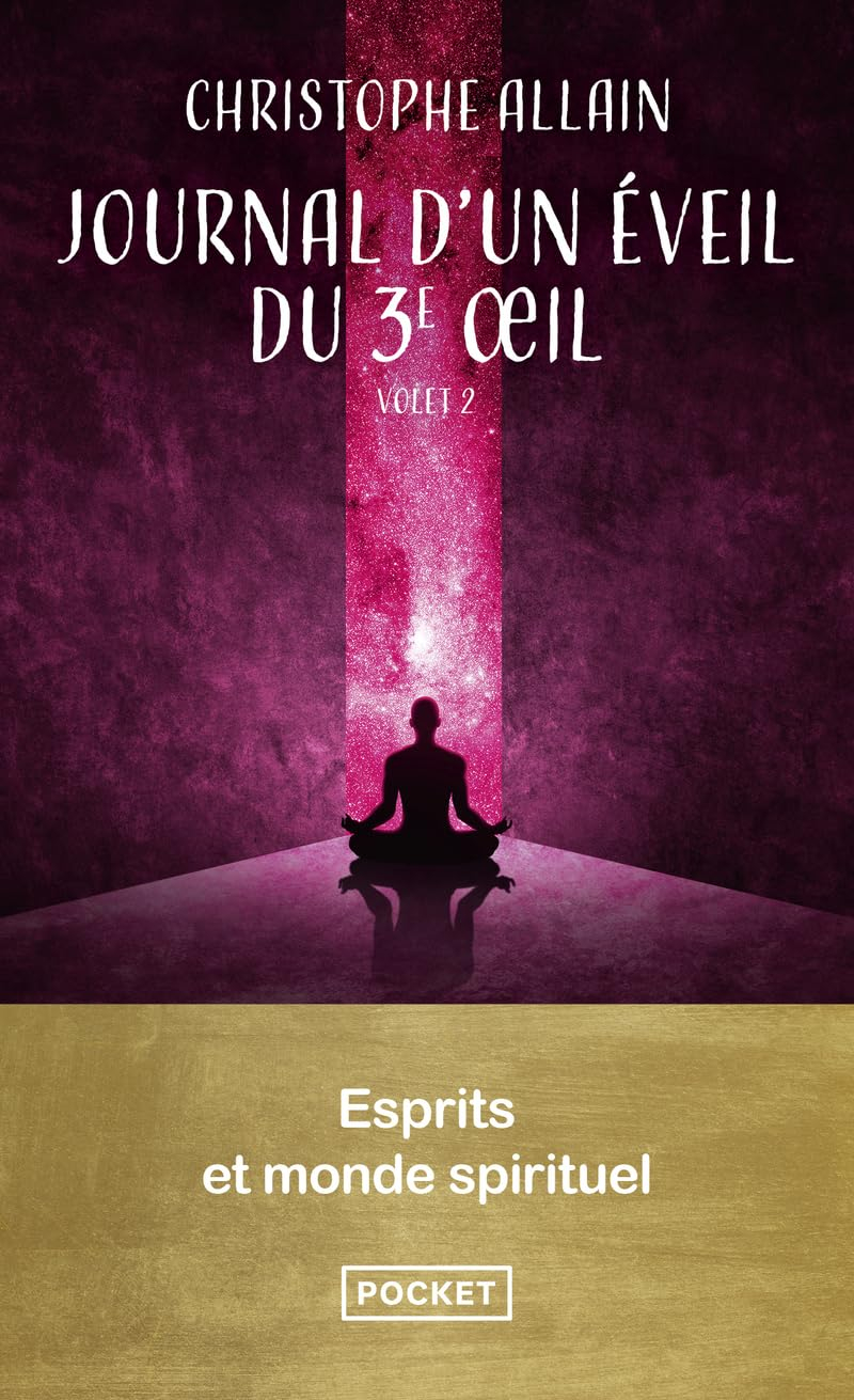 Journal d'un éveil du 3e oeil. Vol. 2. Esprits et monde spirituel