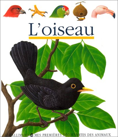 L'oiseau