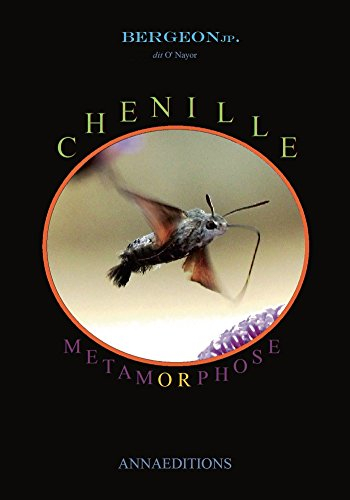 Chenille métamorphose