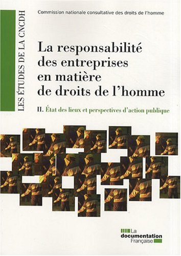 La responsabilité des entreprises en matière de droits de l'homme. Vol. 2. Etat des lieux et perspec