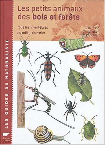 Les petits animaux des bois et forêts : tous les invertébrés du milieu forestier