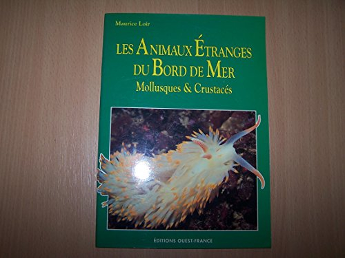 animaux étranges du bord de mer