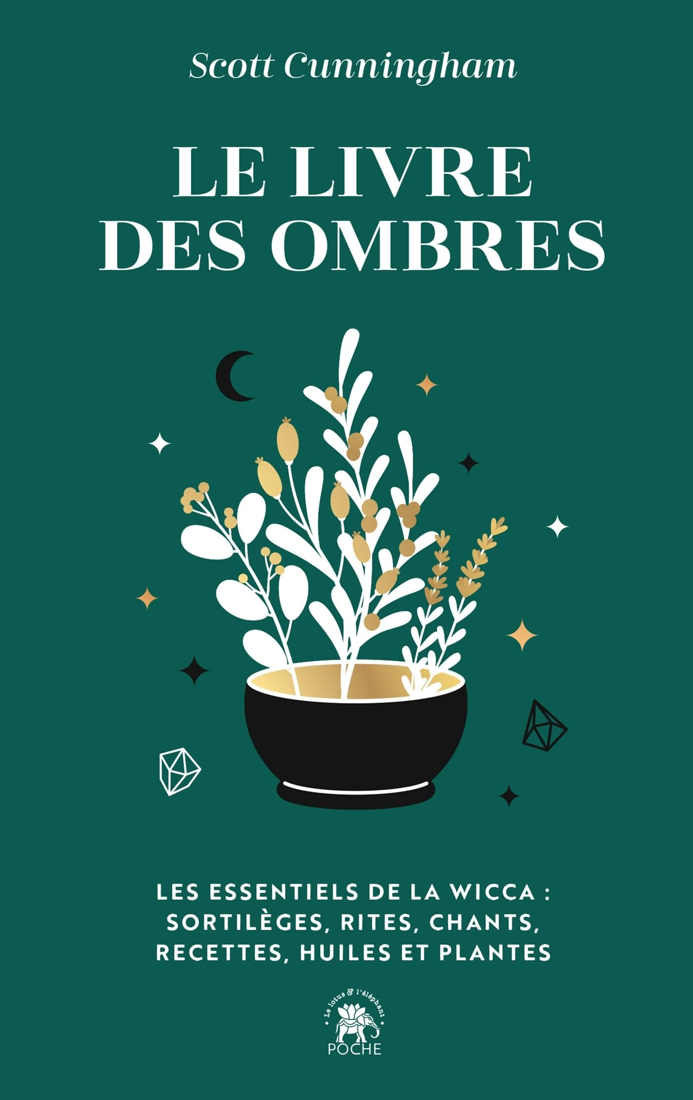 Le livre des ombres : les essentiels de la wicca : sortilèges, rites, chants, recettes, huiles et pl
