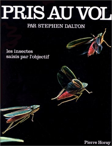 pris au vol. les insectes saisis par l'objectif