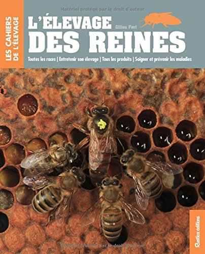 L'élevage des reines