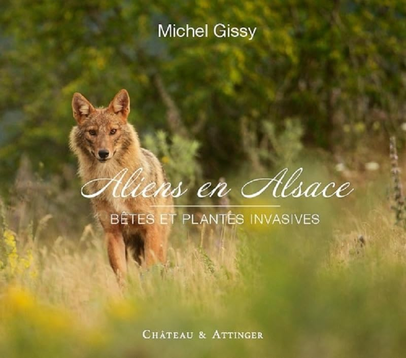 Aliens en Alsace : bêtes et plantes invasives