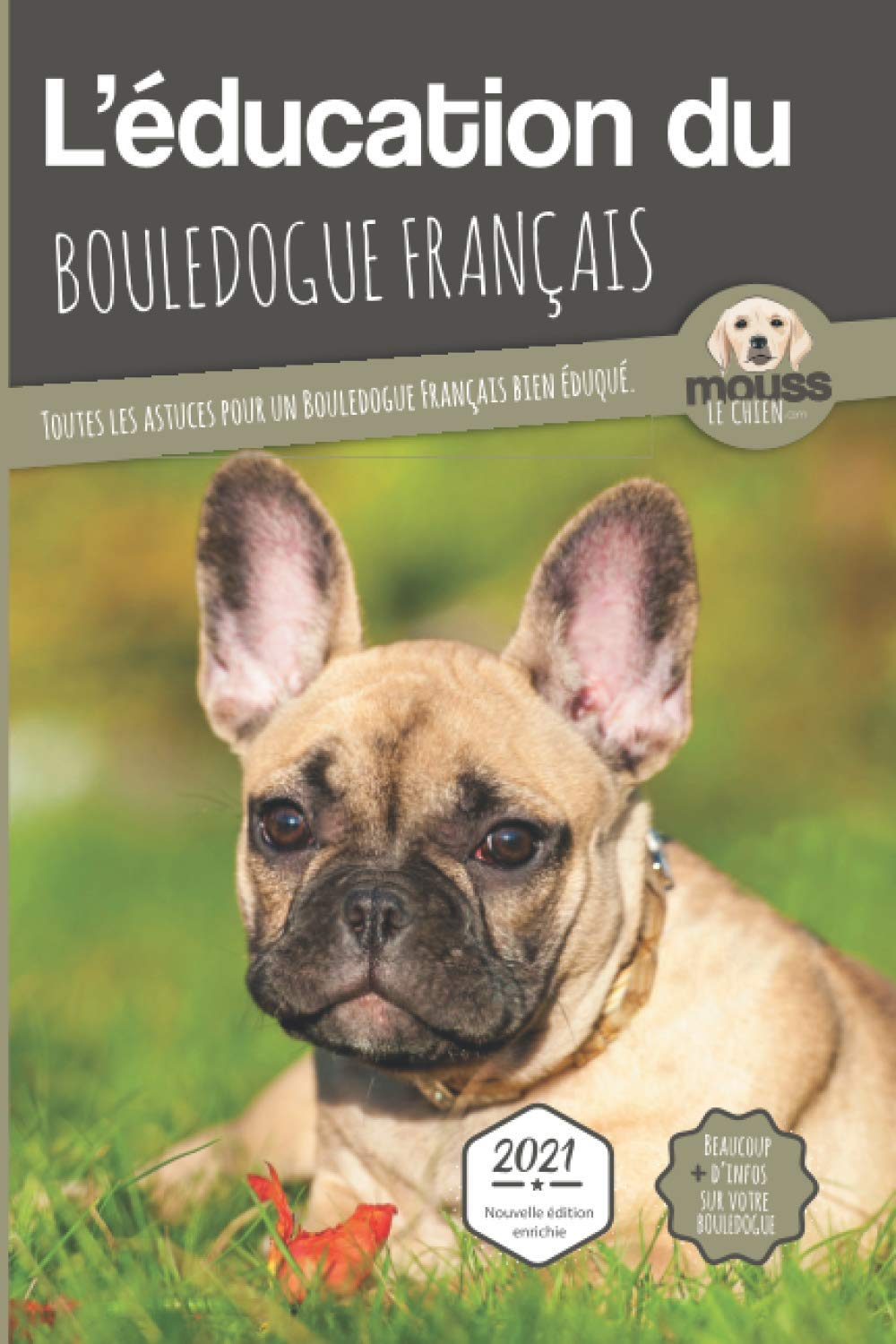 L'éducation du bouledogue français : toutes les astuces pour un bouledogue français bien éduqué : 20