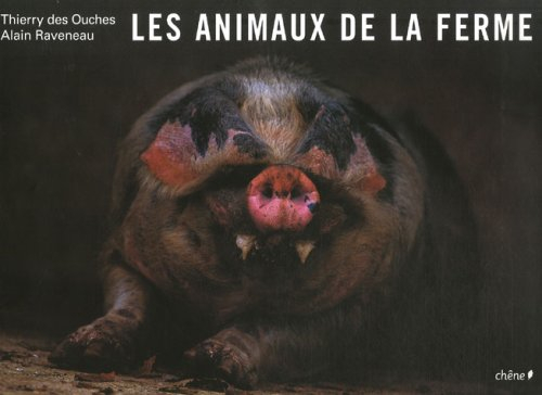 Les animaux de la ferme : cochons