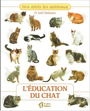 l'éducation du chat