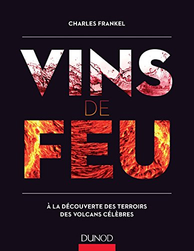 Vins de feu : à la découverte des terroirs des volcans célèbres