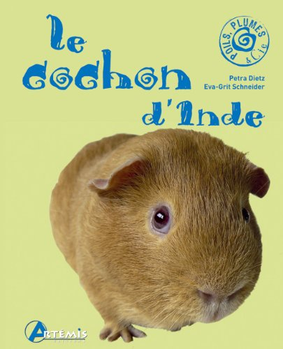 Le cochon d'Inde