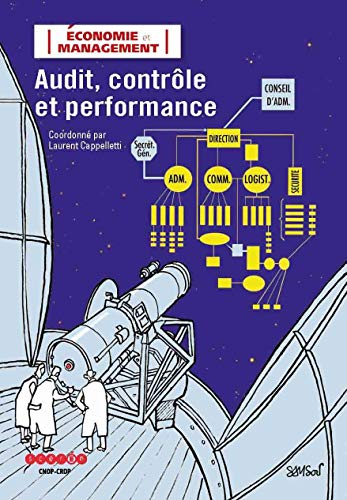 Audit, contrôle et performance
