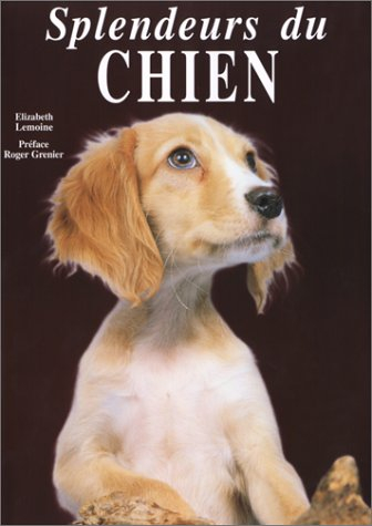 Splendeurs du chien