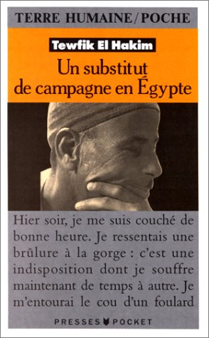 Un substitut de campagne en Egypte : journal d'un substitut de procureur égyptien