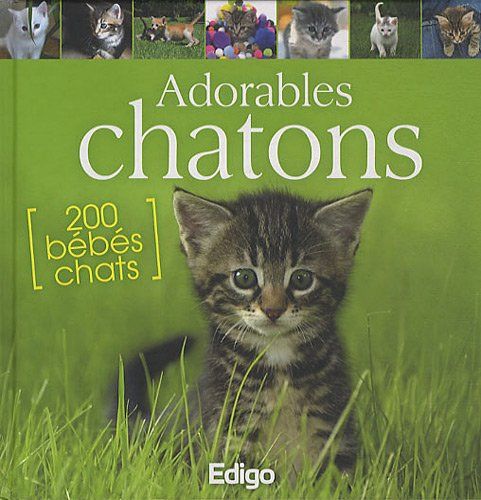 Adorables chatons