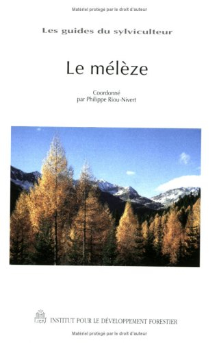 Le mélèze