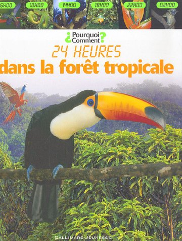 24 heures dans la forêt tropicale
