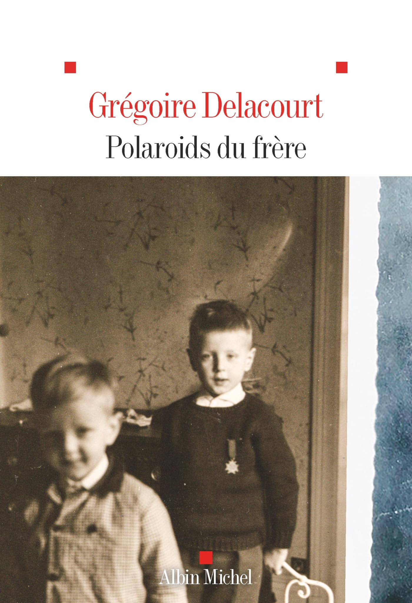 Polaroids du frère : roman-photo