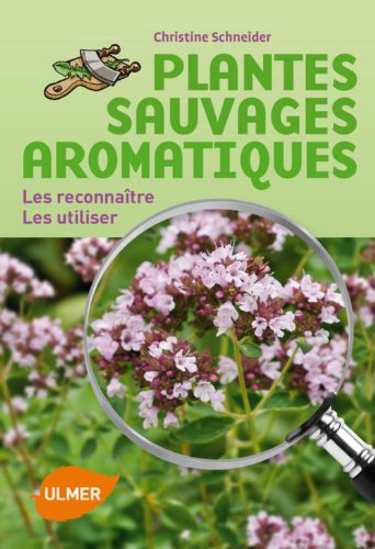 Plantes sauvages aromatiques : les reconnaître, les utiliser