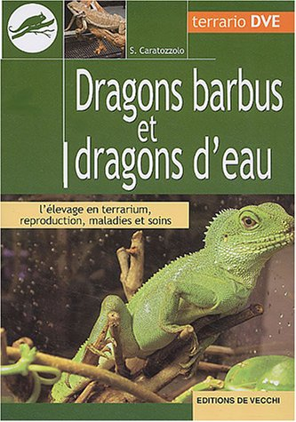 Dragons barbus et dragons d'eau