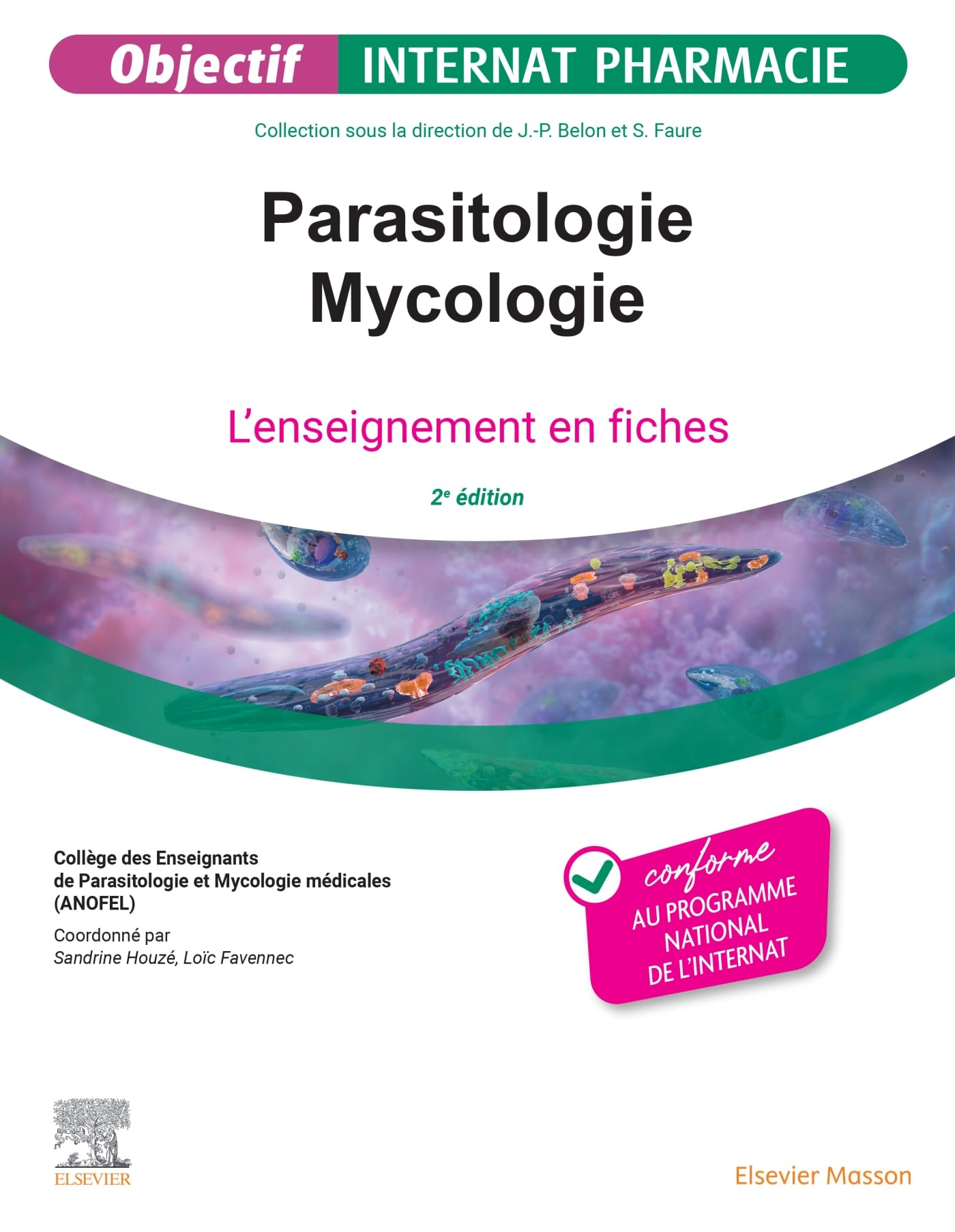 Parasitologie, mycologie : l'enseignement en fiches : conforme au programme national de l'internat