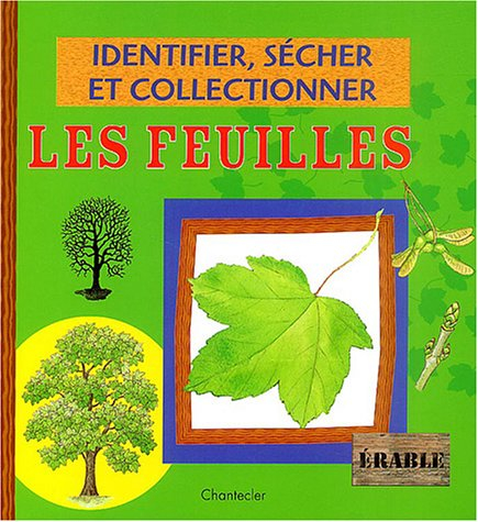 Identifier, sécher et collectionner les feuilles